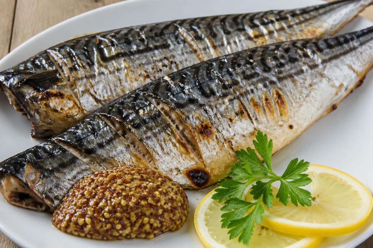 Filets de maquereau grillés à la peau argentée rayée, moutarde à grains, citron et persil